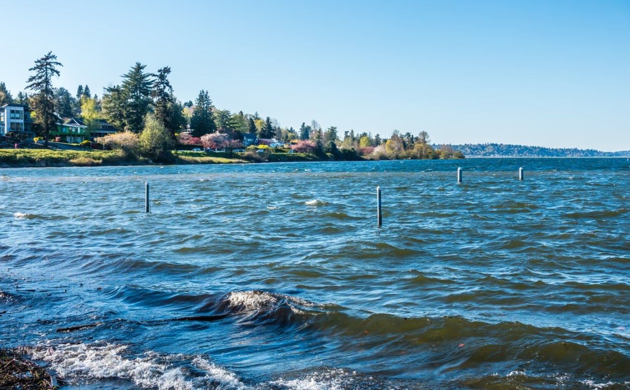 Bellingham